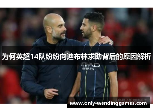 为何英超14队纷纷向迪布林求助背后的原因解析 为何英超14队纷纷向迪布林求助背后的原因解析