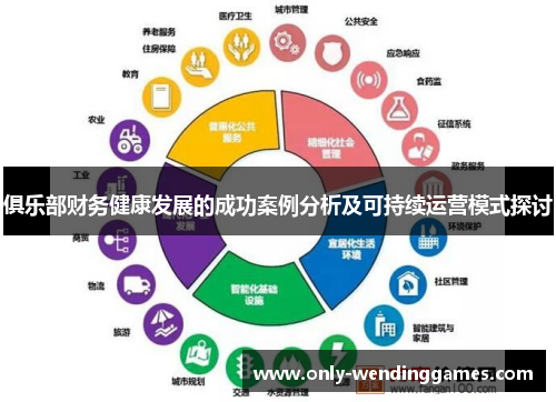 俱乐部财务健康发展的成功案例分析及可持续运营模式探讨 俱乐部财务健康发展的成功案例分析及可持续运营模式探讨