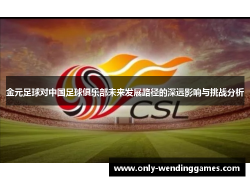 金元足球对中国足球俱乐部未来发展路径的深远影响与挑战分析 金元足球对中国足球俱乐部未来发展路径的深远影响与挑战分析