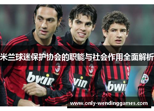 米兰球迷保护协会的职能与社会作用全面解析 米兰球迷保护协会的职能与社会作用全面解析