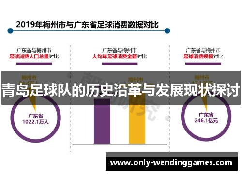 青岛足球队的历史沿革与发展现状探讨 青岛足球队的历史沿革与发展现状探讨