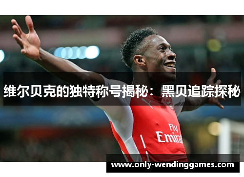 维尔贝克的独特称号揭秘:黑贝追踪探秘 维尔贝克的独特称号揭秘:黑贝追踪探秘