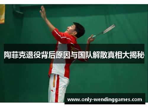 陶菲克退役背后原因与国队解散真相大揭秘