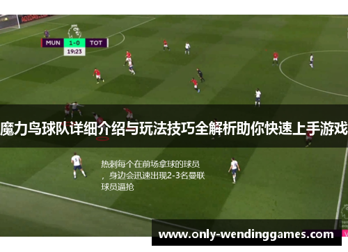 魔力鸟球队详细介绍与玩法技巧全解析助你快速上手游戏 魔力鸟球队详细介绍与玩法技巧全解析助你快速上手游戏