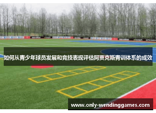 如何从青少年球员发展和竞技表现评估阿贾克斯青训体系的成效 如何从青少年球员发展和竞技表现评估阿贾克斯青训体系的成效